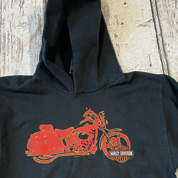 Kids Harley - Davidson Motorcycles Staten Island Hoodie Sweatshirt - Picture 3 of 8
